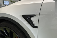 Tesla Model Y PERFORMANCE DUAL MOTOR AWD