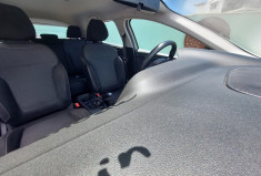 Renault Megane 1.5 Blue dCi 95ch Business // Première main // Bon état