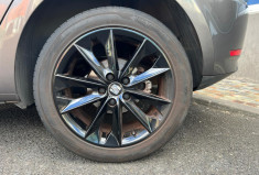 SEAT Ibiza  IV Phase 3 1.0 TSI DSG7 110 cv CONNECT