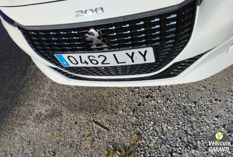 Citroën C4 CACTUS 1.6 BlueHDi 100 S&S Shine BVM6