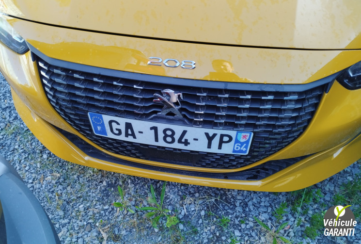 Citroën C4 CACTUS 1.6 BlueHDi 100 S&S Shine BVM6