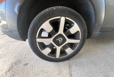 Citroën C4 CACTUS II 1.2 PureTech SHINE Business 110 ch 