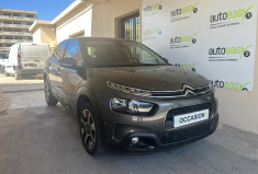 Citroën C4 CACTUS II 1.2 PureTech SHINE Business 110 ch 