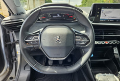 Peugeot 2008 II 1.5 BLUEHDI 110 ACTIVE BUSINESS BVM