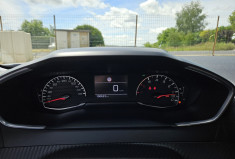 Peugeot 2008 II 1.5 BLUEHDI 110 ACTIVE BUSINESS BVM