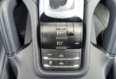 Porsche Cayenne  3.0 416ch S E-Hybrid Platinum Edition
