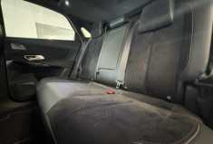 DS DS 7 300 E TENSE 4X4 PERFORMANCE LINE