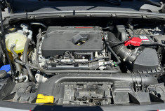 Ford Puma ST 1.5 Ecoboost  200 cv BVM6