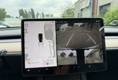 Tesla Model Y  Standard 