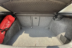 Volkswagen Golf VI 5 Portes 1.6 TDI FAP Blue Motion DSG7 105 cv
