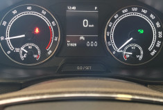 Skoda Kamiq 1.0 TSI Evo 110 ch DSG7 Ambition