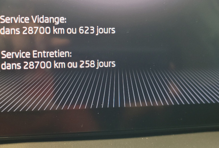 Skoda Kamiq 1.0 TSI Evo 110 ch DSG7 Ambition
