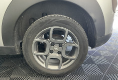 Citroën C4 CACTUS PureTech 110 Shine S&S