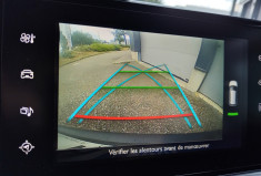 Citroën C4 CACTUS 1.6 BlueHDi 100ch  Feel  - Caméra de recul - Sièges Chauffants