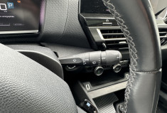 Citroën C4  1.5 BlueHDi EAT8 130 cv