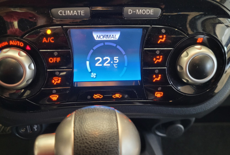 Nissan Juke Acenta Phase 3 1.6 i 16V Ethanol Flexifuel E85 2WD CVT 117 cv