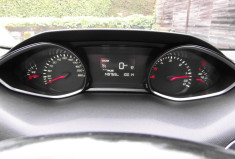 Peugeot 308 308 SW 1.6 BLUEHDI 120CH ACTIVE DISTRIBUTION OK
