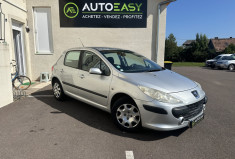 Peugeot 307 1.6 i 16V 110 cv