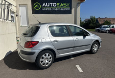 Peugeot 307 1.6 i 16V 110 cv