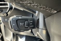DS DS 7 Crossback 2.0 Blue HDi S&S 180 cv Boîte auto Opera