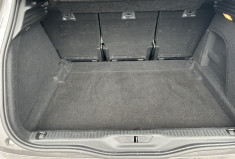 Citroën C4 SpaceTourer 1.5 BlueHDI 130 cv SHINE 