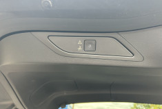 Citroën C4 SpaceTourer 1.5 BlueHDI 130 cv SHINE 