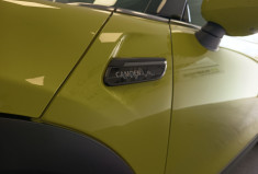 Mini MINI CABRIOLET FINITION CAMDEN SUIVI CONCESSION GARANTIE 6 MOIS