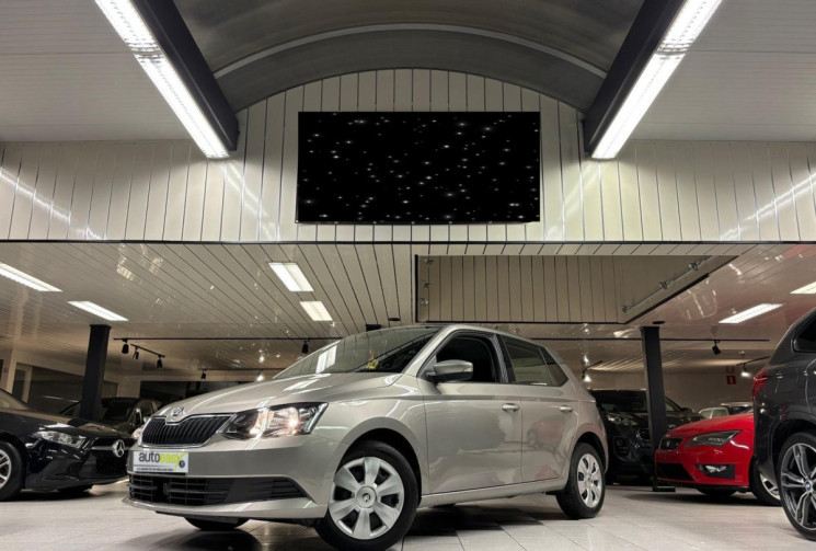 Skoda Fabia 1.0 TSI 110 CV DSG7 BUSINESS