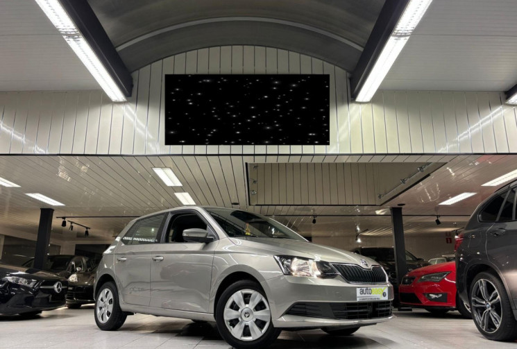 Skoda Fabia 1.0 TSI 110 CV DSG7 BUSINESS