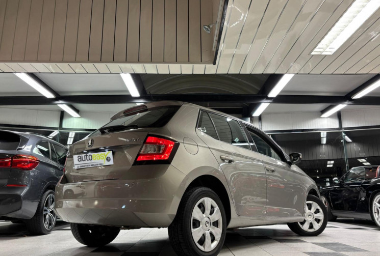 Skoda Fabia 1.0 TSI 110 CV DSG7 BUSINESS