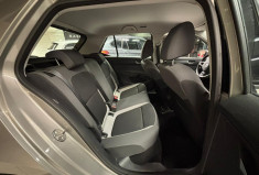 Skoda Fabia 1.0 TSI 110 CV DSG7 BUSINESS