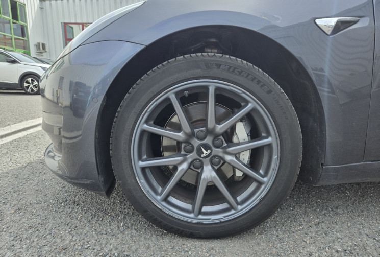 Tesla Model 3 STANDARD Plus 325cv 