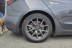 Tesla Model 3 STANDARD Plus 325cv 