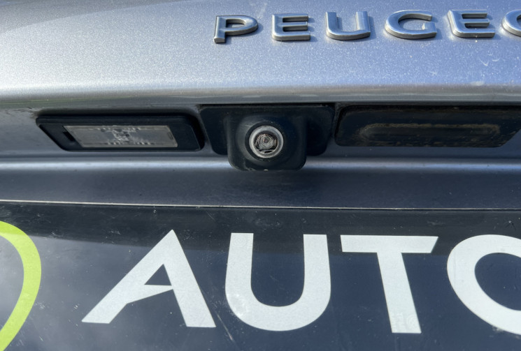 Peugeot 208 II (T9) 1.2 i GPF 130 CH TECH EDITION