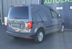 Volkswagen Caddy IV 2.0 TDI 16V Bluemotion 102 cv Business Line