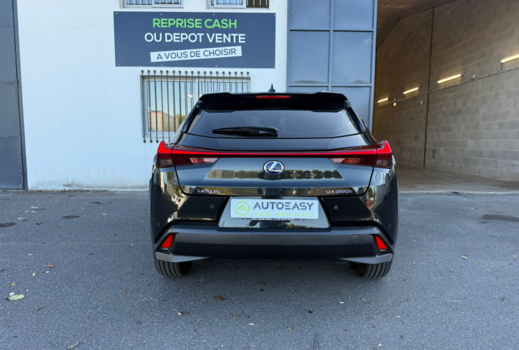Lexus UX CONFORT BUSINESS 250h 2.0 VVT-iE 16V 184 