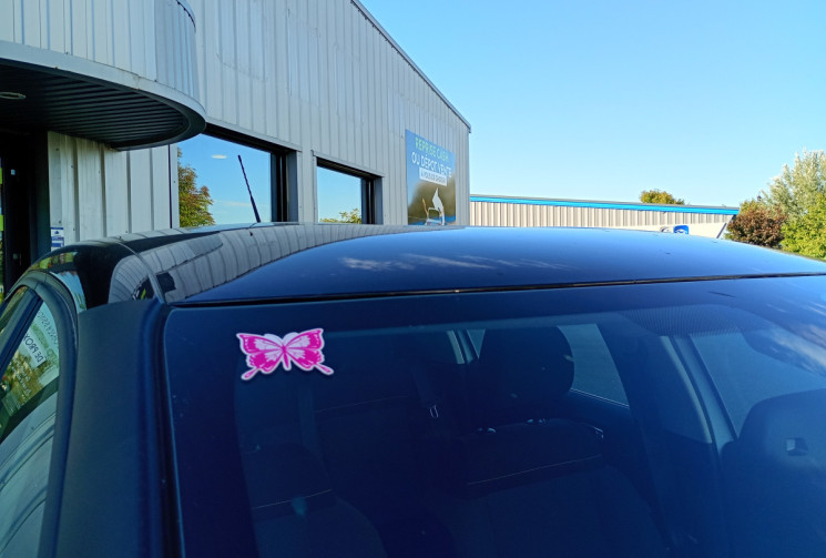 Citroën C3 1.2 PureTech 83ch S&S Feel Business