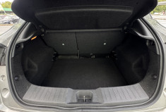 Nissan Juke 1.0 DIG-T 117ch N-Connecta DCT