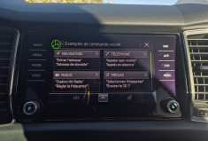 Skoda Kodiaq 2.0 TDI 150 Style Toit ouvrant pano