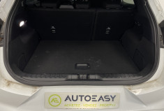 Ford Puma 1.0 Flexifuel 125 ch mHEV SS BVM6 ST-Line