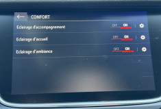Opel Grandland X Ultimate TURBO 130 ch BVA6 / Full Options / Entretien complet Opel
