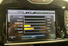 Renault Clio 220 ch RS Trophy