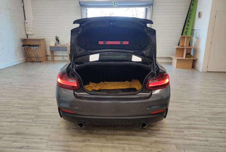 BMW Série 2 M 235i COUPE 326CH PROPULSION M SPORT PACK CARBONE  CUIR CARBONE ALCANTARA