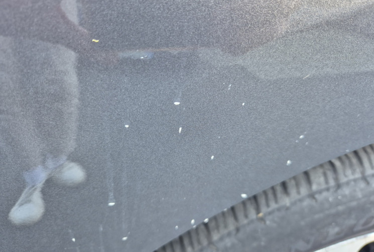 Citroën Spacetourer M BlueHDi 150 Shine 8 places Cuir / Toit pano / 2 portes latérales