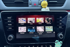 Skoda SUPERB Phase 2 2.0 TDI DSG7 200 cv SPORTLINE 