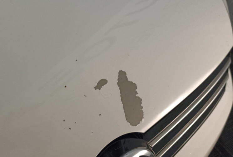 Volkswagen Touran 1.4 TSI 140CH Confortline