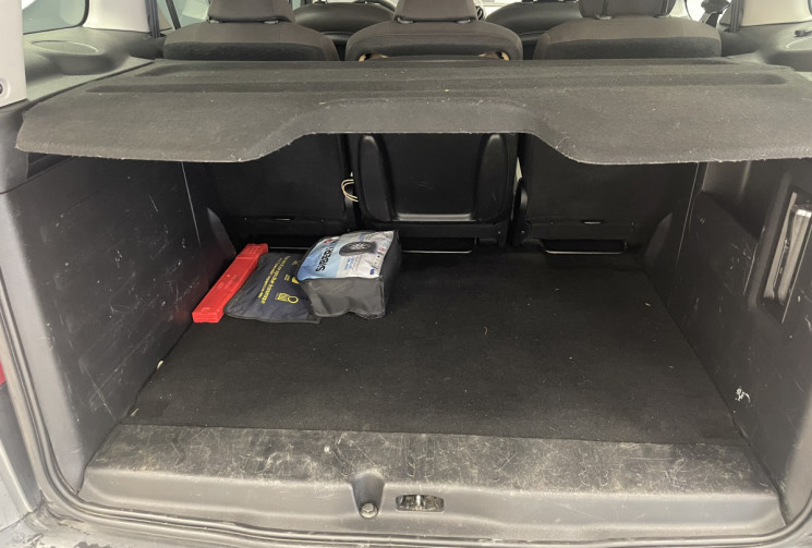 Peugeot PARTNER TEPEE 1.6 HDi 16V FAP 110 cv Peugeot PARTNER TEPEE 1.6 HDi 16V FAP 110 cv