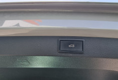 Skoda Karoq 2.0 TDI 116 CH SCR DSG7 BUSINESS Skoda Karoq 2.0 TDI 116 CH SCR DSG7 BUSINESS