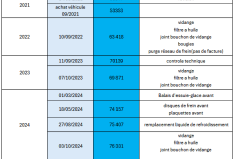 DS DS 3 1.6 THP S&S 165cv Performance Line - 3EME MAIN - SUPERBE - TBE - ENTRETIEN - GARANTIE -