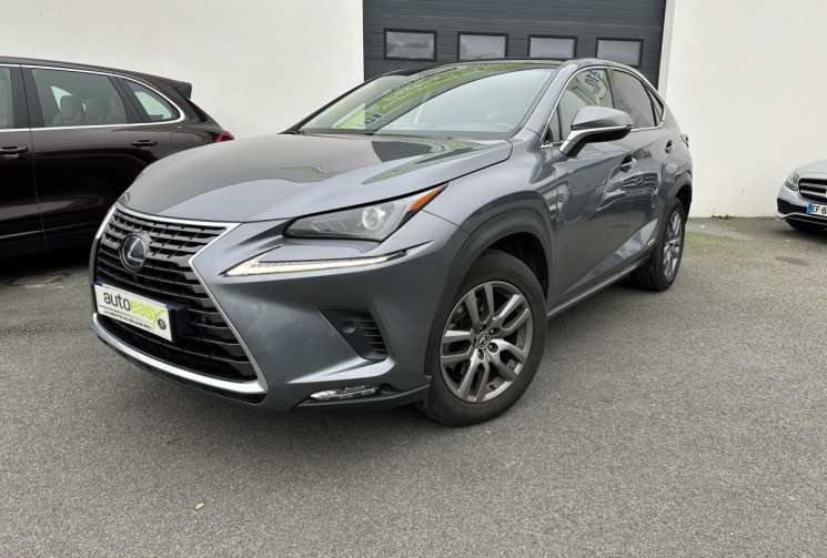 Lexus NX 300h 2.5 VVT-i 197CV HYBRID AWD E-CVT  LUXE